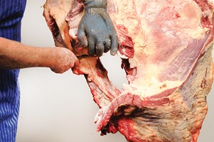 Meat Cut Spec Step 2